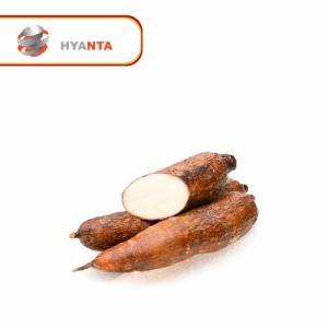 Manioc