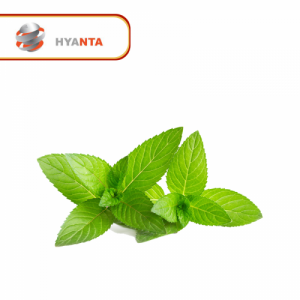 Menthe (100g)