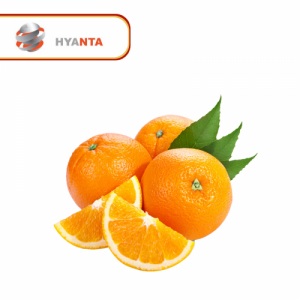 Orange (lot de 6)