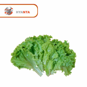 Salade (250g)