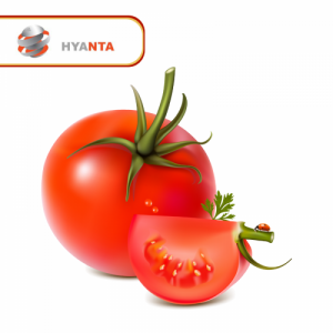 Tomate / Kg